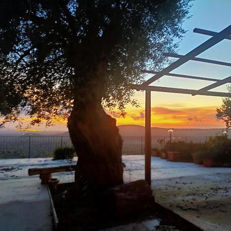 Il Colle Degli Ulivi Hotel San Calogero Luaran gambar