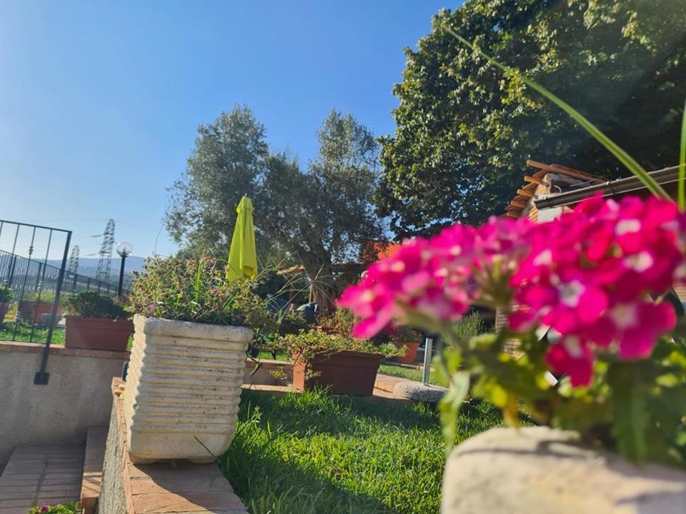 Il Colle Degli Ulivi Hotel San Calogero Luaran gambar