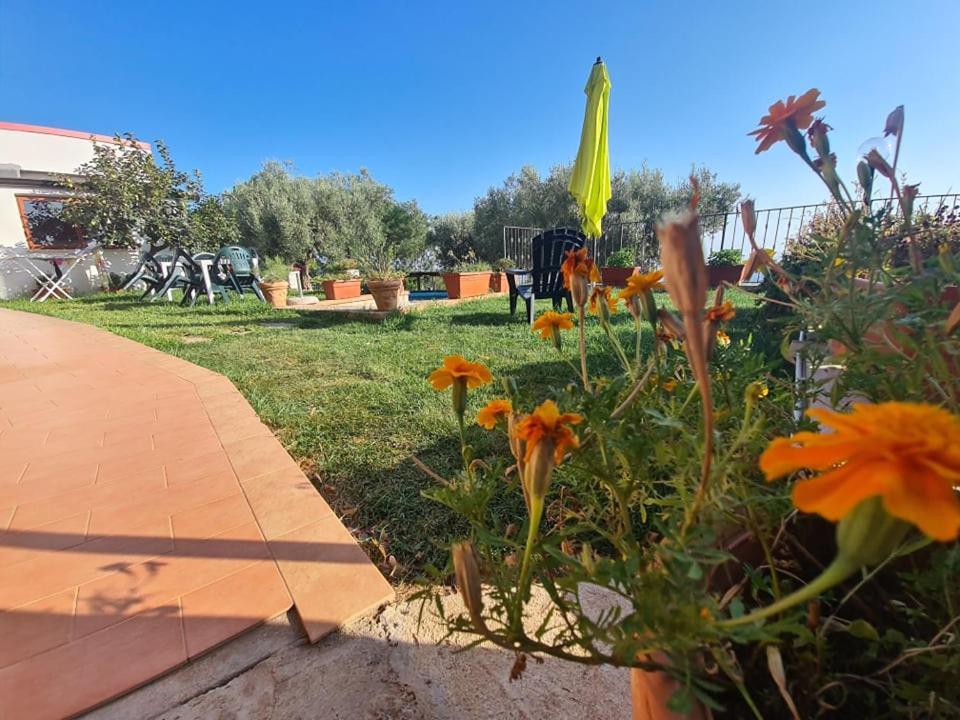 Il Colle Degli Ulivi Hotel San Calogero Luaran gambar
