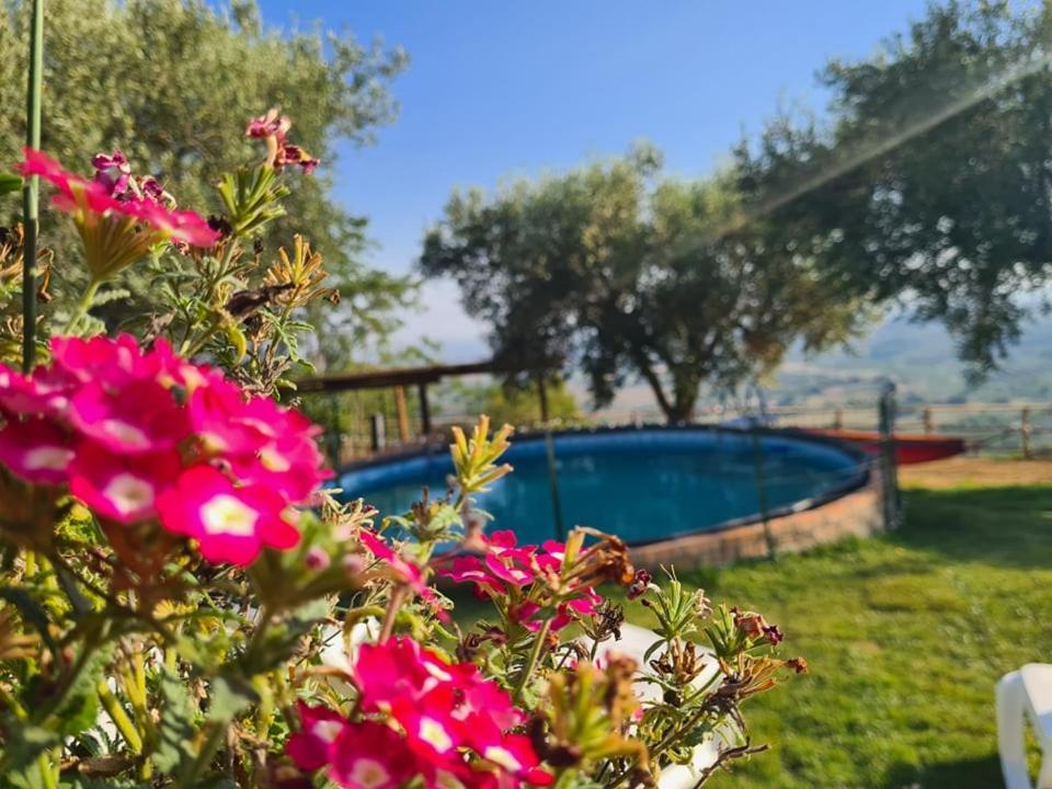 Il Colle Degli Ulivi Hotel San Calogero Luaran gambar