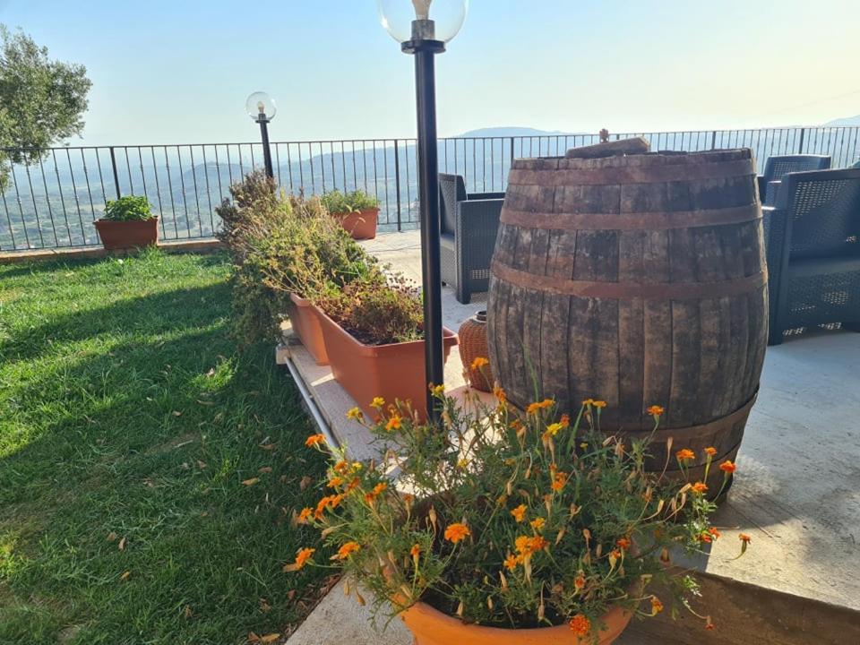 Il Colle Degli Ulivi Hotel San Calogero Luaran gambar