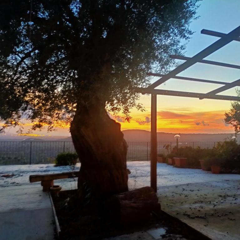 Il Colle Degli Ulivi Hotel San Calogero Luaran gambar