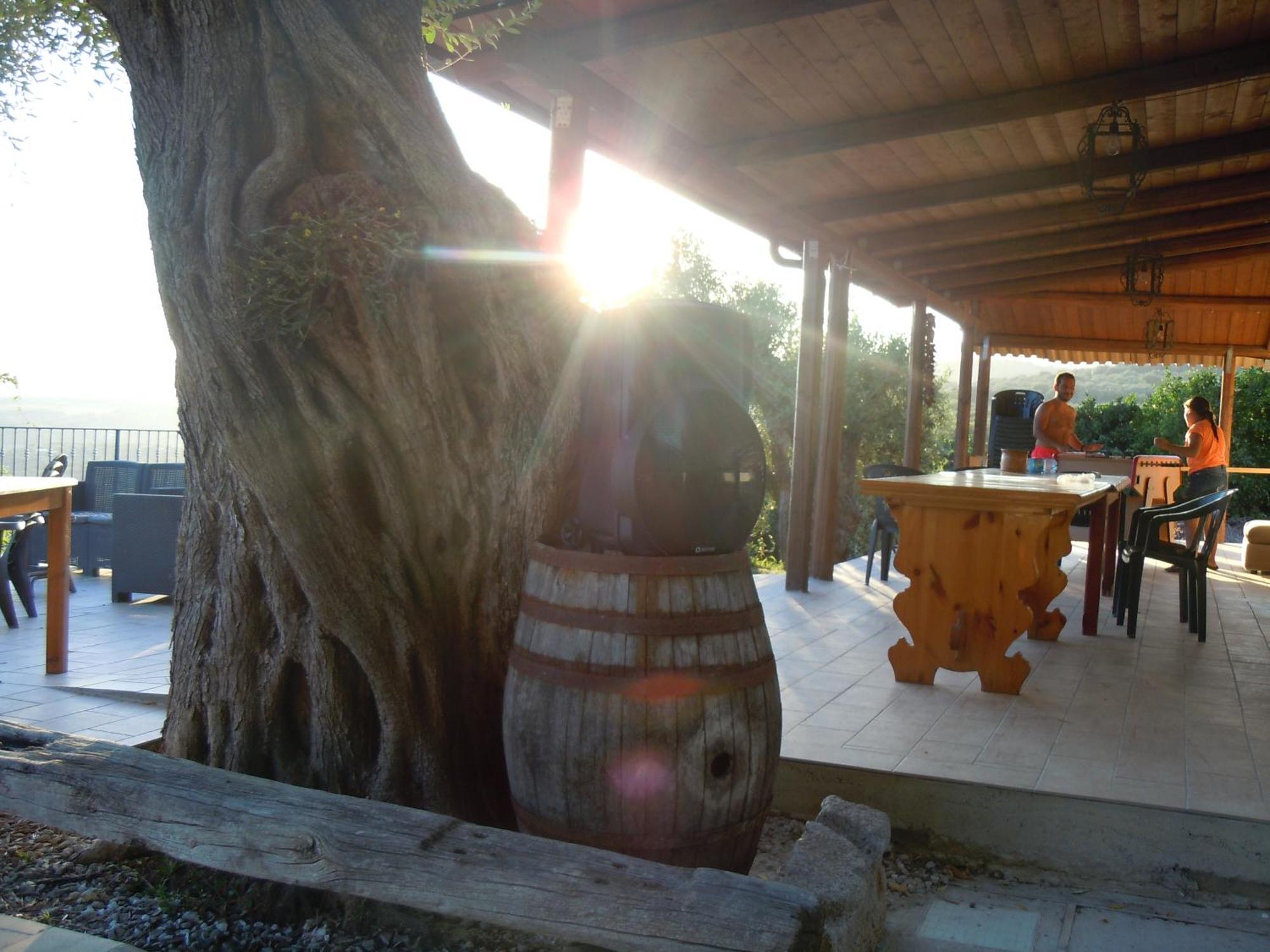 Il Colle Degli Ulivi Hotel San Calogero Luaran gambar