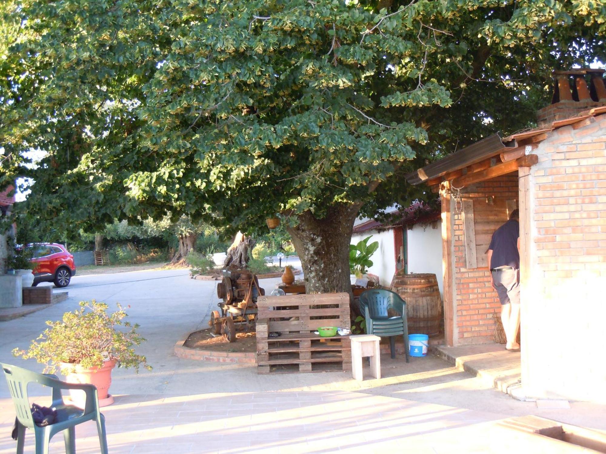 Il Colle Degli Ulivi Hotel San Calogero Luaran gambar