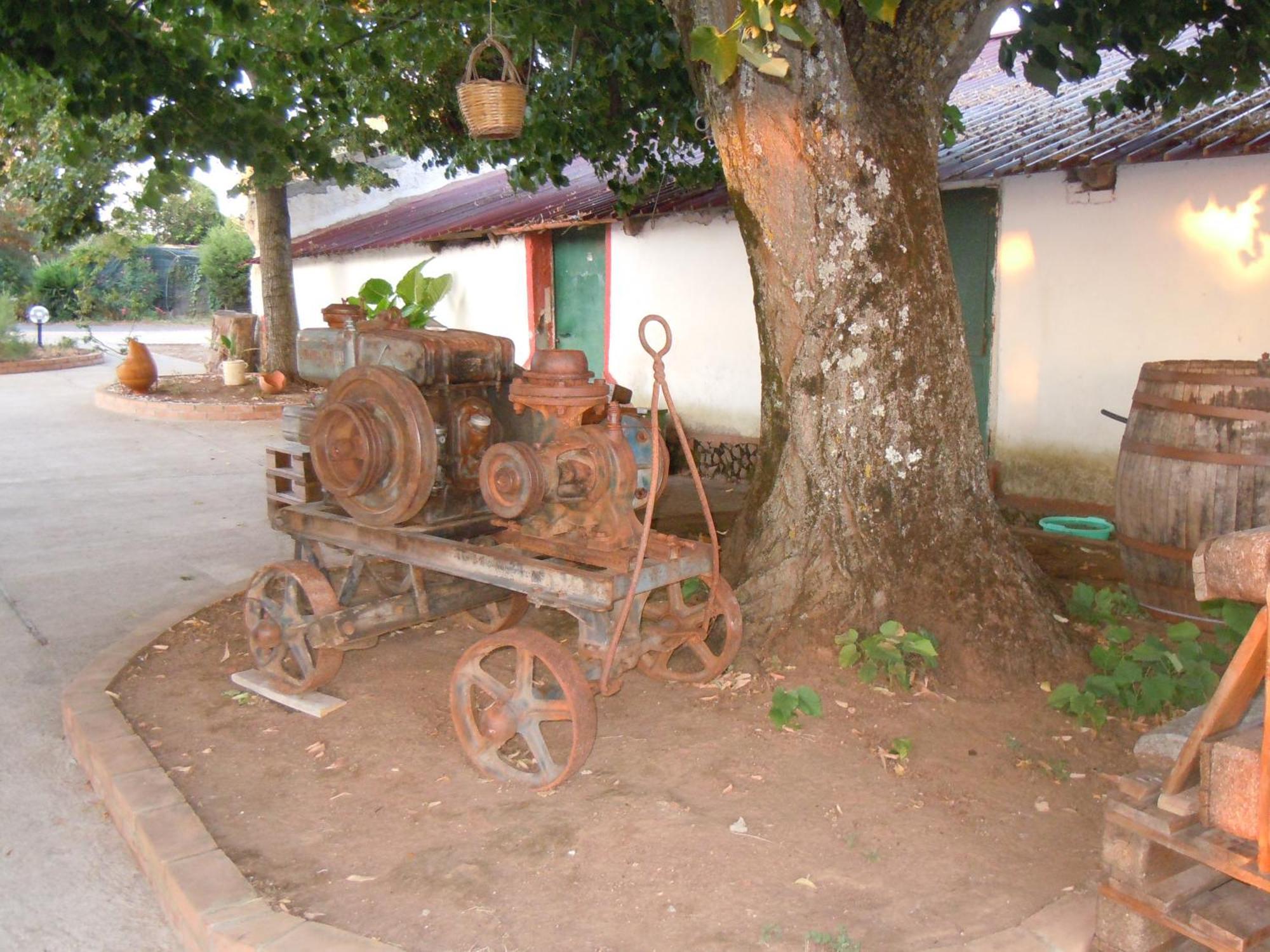 Il Colle Degli Ulivi Hotel San Calogero Luaran gambar