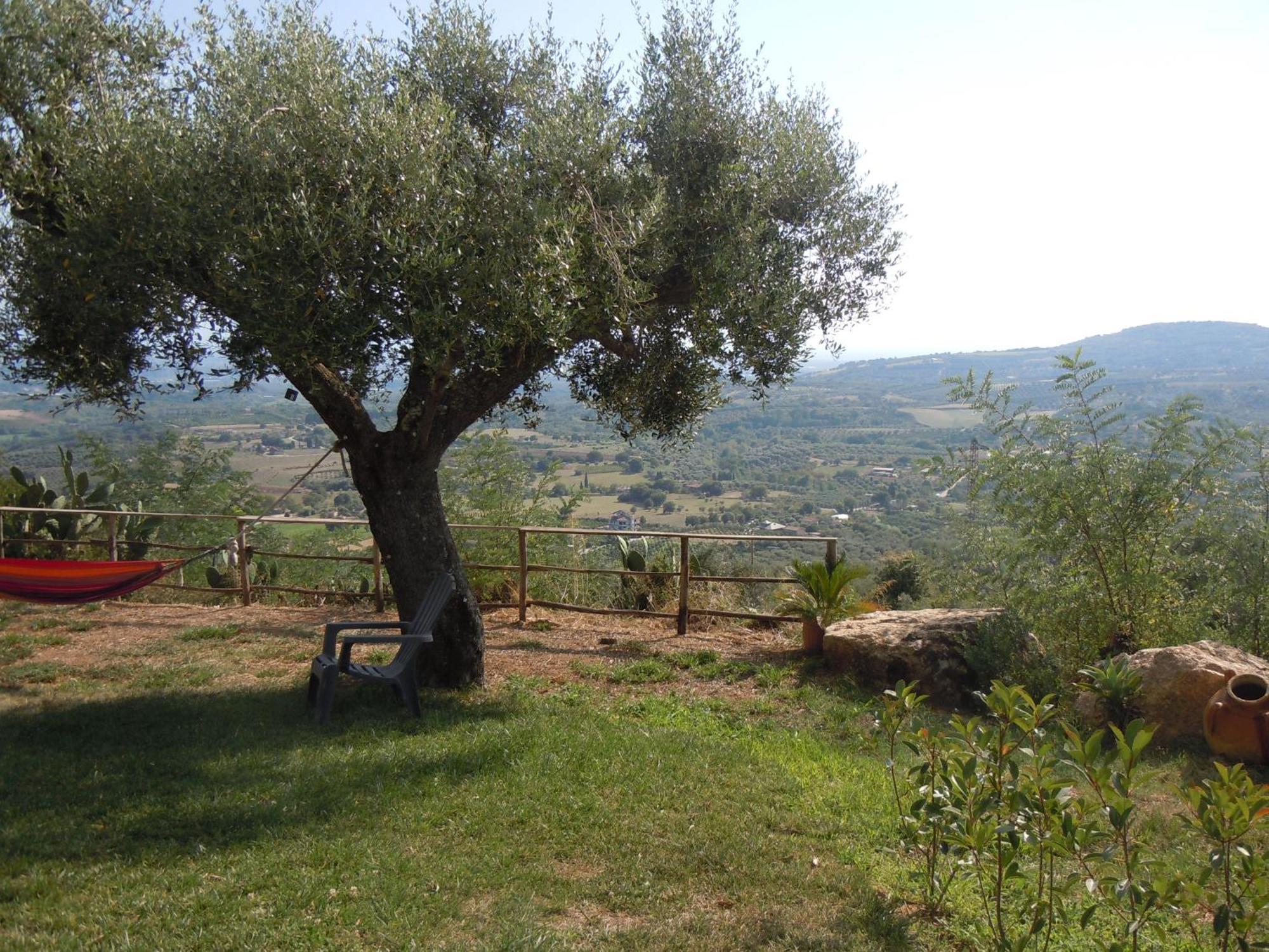 Il Colle Degli Ulivi Hotel San Calogero Luaran gambar